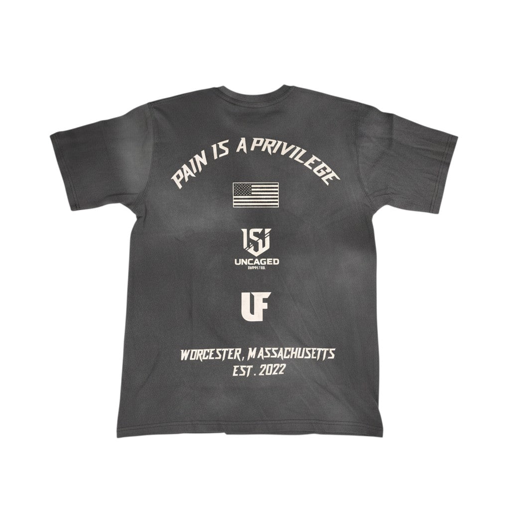 Spring '26 Tee "Pain Is A Privilege"